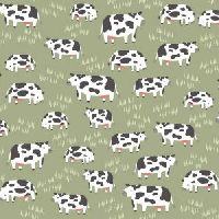 dsStella-F3610 Hedge